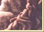 bone_1_2_2.jpg